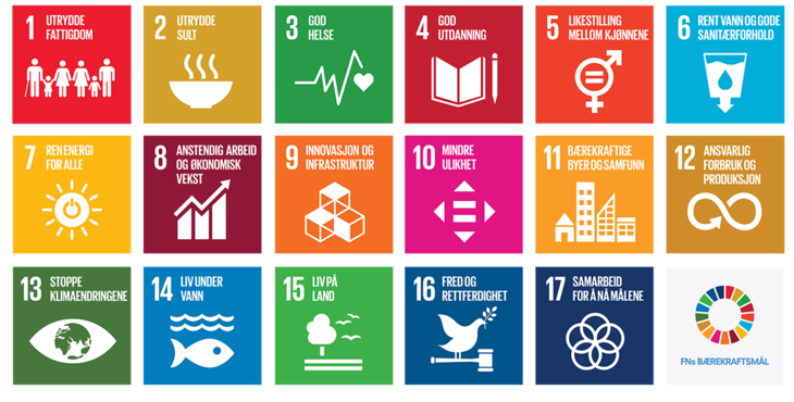 FNs bærekraftsmål, 17 stykker